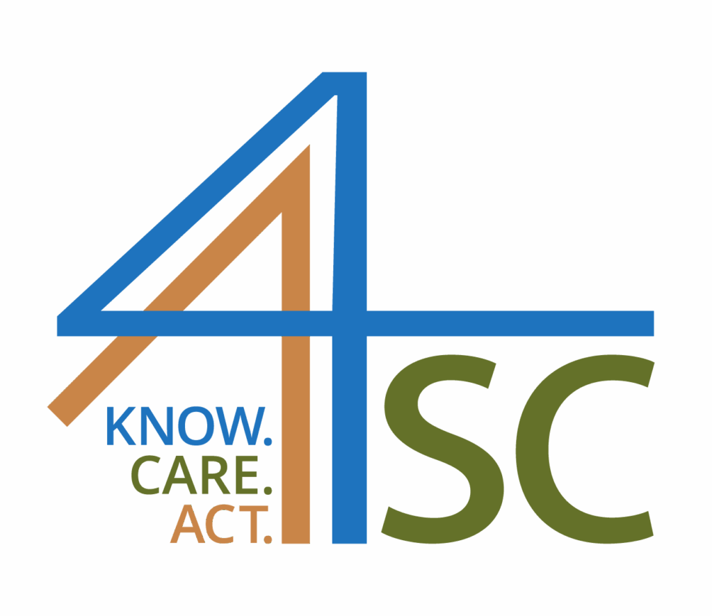 Academy 4 Social Civics